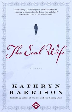 bigCover of the book The Seal Wife by 