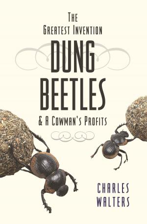 Cover of the book Dung Beetles by Julius Hensel