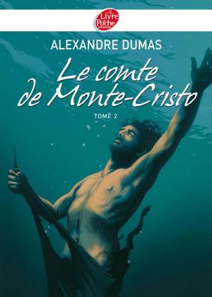 Cover of the book Le Comte de Monte-Cristo 2 - Texte abrégé by Homère, Bruno Heitz