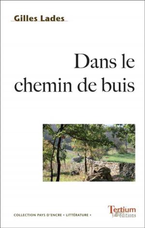 Cover of the book Dans le chemin de buis by Jean-Claude Carrière