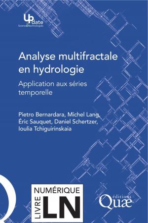Cover of the book Analyse multifractale en hydrologie by Denis Despréaux, Christian Cilas