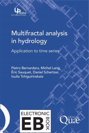Cover of the book Multifractal Analysis in Hydrology by Aline Raynal-Roques