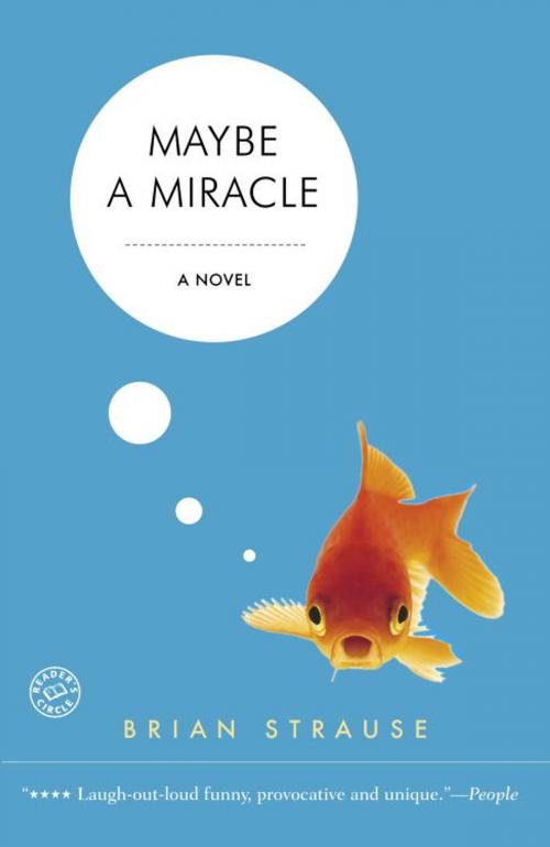 Cover of the book Maybe a Miracle by Brian Strause, Random House Publishing Group