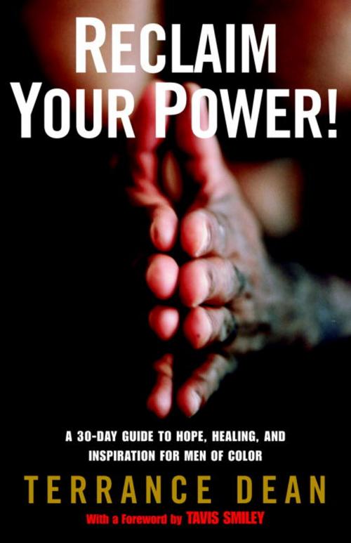 Cover of the book Reclaim Your Power! by Terrance Dean, Random House Publishing Group