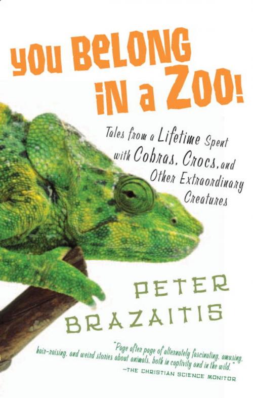 Cover of the book You Belong in a Zoo! by Peter Brazaitis, Random House Publishing Group