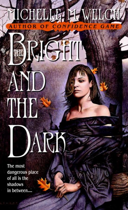 Cover of the book The Bright and The Dark by Michelle M. Welch, Random House Publishing Group