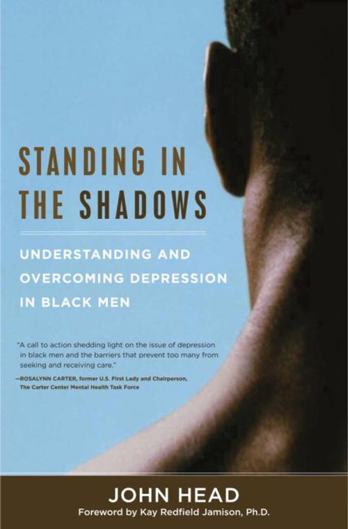 Cover of the book Standing In the Shadows by John Head, Potter/Ten Speed/Harmony/Rodale