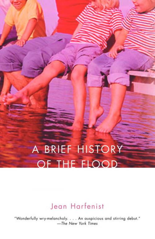 Cover of the book A Brief History of the Flood by Jean Harfenist, Knopf Doubleday Publishing Group