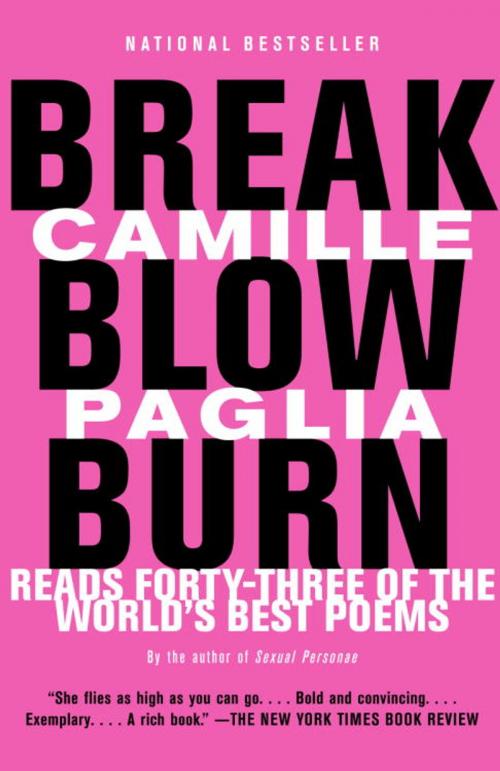 Cover of the book Break, Blow, Burn by Camille Paglia, Knopf Doubleday Publishing Group