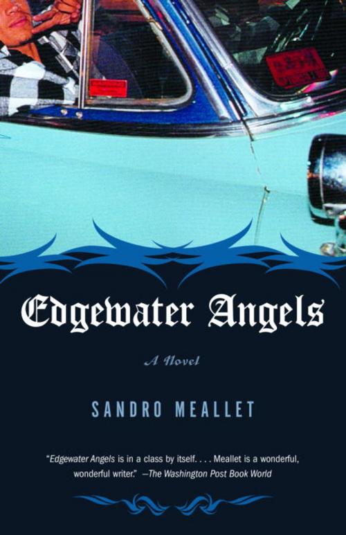 Cover of the book Edgewater Angels by Sandro Meallet, Knopf Doubleday Publishing Group
