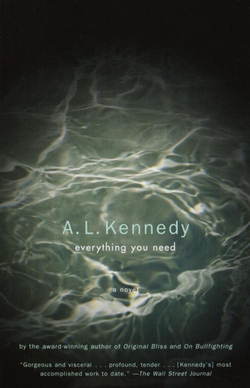 Cover of the book Everything You Need by A. L. Kennedy, Knopf Doubleday Publishing Group