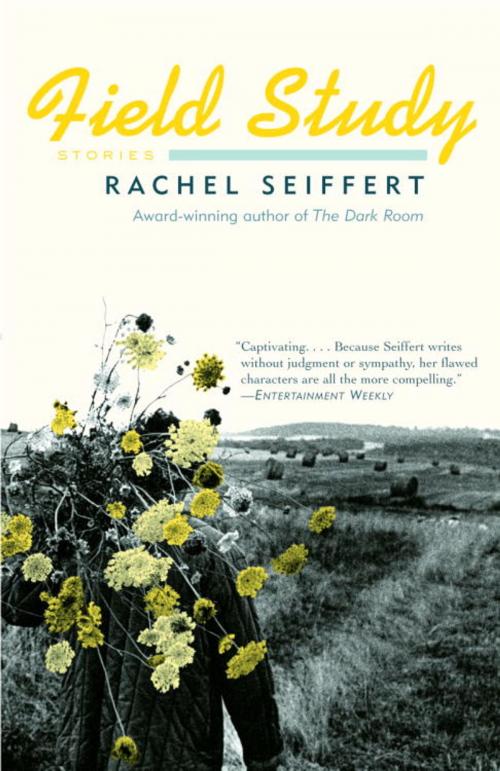 Cover of the book Field Study by Rachel Seiffert, Knopf Doubleday Publishing Group