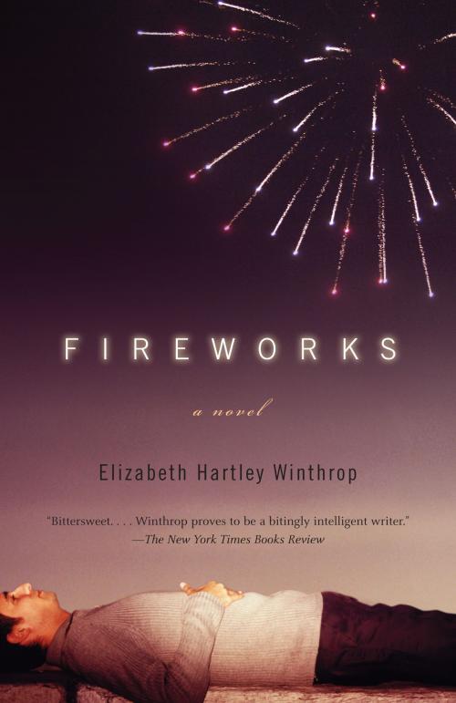 Cover of the book Fireworks by Elizabeth Hartley Winthrop, Knopf Doubleday Publishing Group