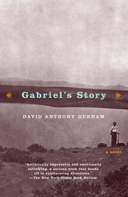 Cover of the book Gabriel's Story by David Anthony Durham, Knopf Doubleday Publishing Group