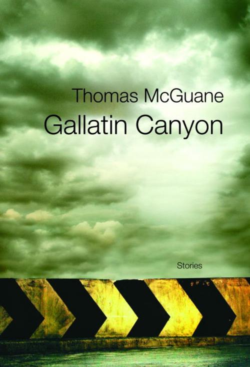 Cover of the book Gallatin Canyon by Thomas McGuane, Knopf Doubleday Publishing Group