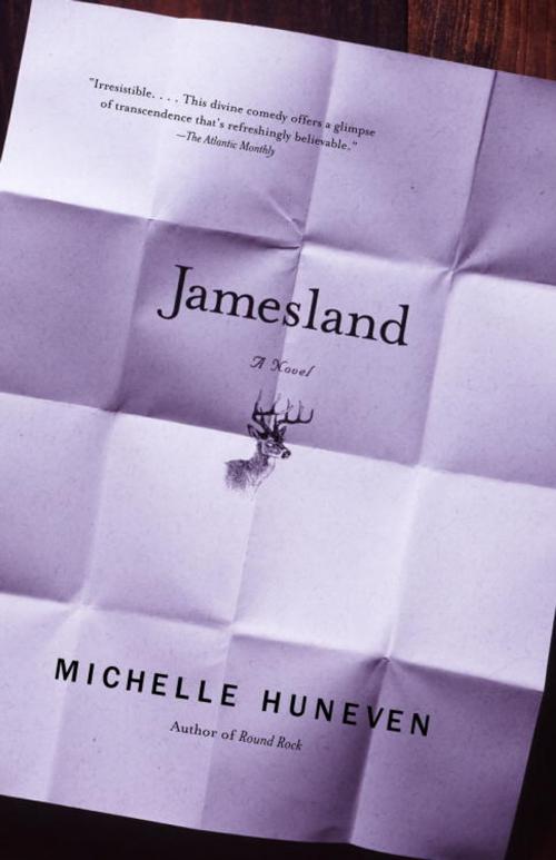 Cover of the book Jamesland by Michelle Huneven, Knopf Doubleday Publishing Group