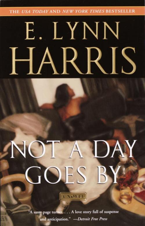 Cover of the book Not a Day Goes By by E. Lynn Harris, Knopf Doubleday Publishing Group