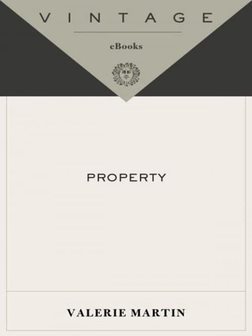 Cover of the book Property by Valerie Martin, Knopf Doubleday Publishing Group
