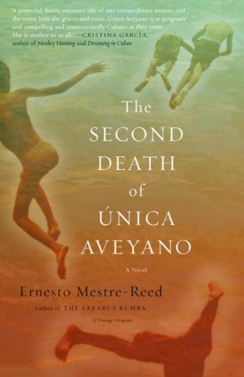 Cover of the book The Second Death of Unica Aveyano by Ernesto Mestre-Reed, Knopf Doubleday Publishing Group
