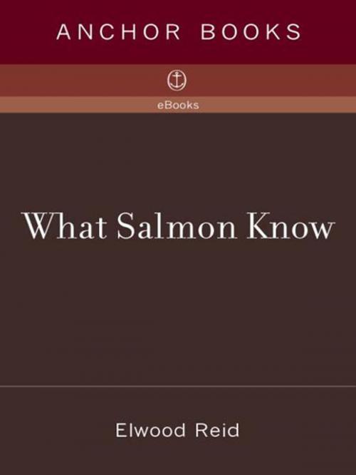 Cover of the book What Salmon Know by Elwood Reid, Knopf Doubleday Publishing Group