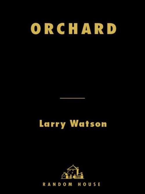 Cover of the book Orchard by Larry Watson, Random House Publishing Group