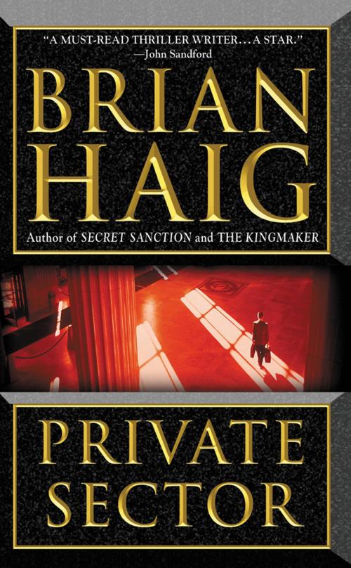 Cover of the book Private Sector by Brian Haig, Grand Central Publishing