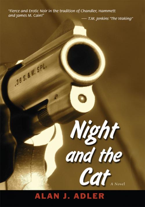 Cover of the book Night and the Cat by Alan J. Adler, iUniverse