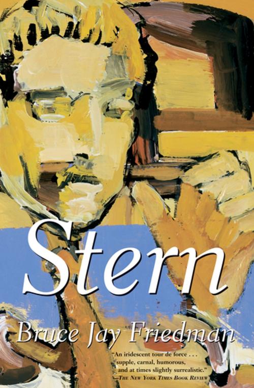 Cover of the book Stern by Bruce Jay Friedman, Grove Atlantic