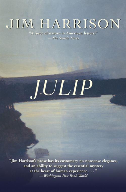 Cover of the book Julip by Jim Harrison, Grove Atlantic