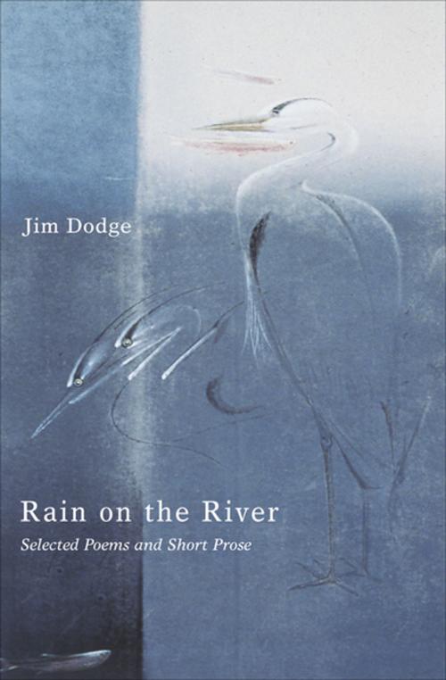 Cover of the book Rain on the River by Jim Dodge, Grove Atlantic