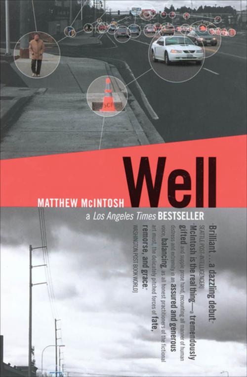 Cover of the book Well by Matthew McIntosh, Grove Atlantic