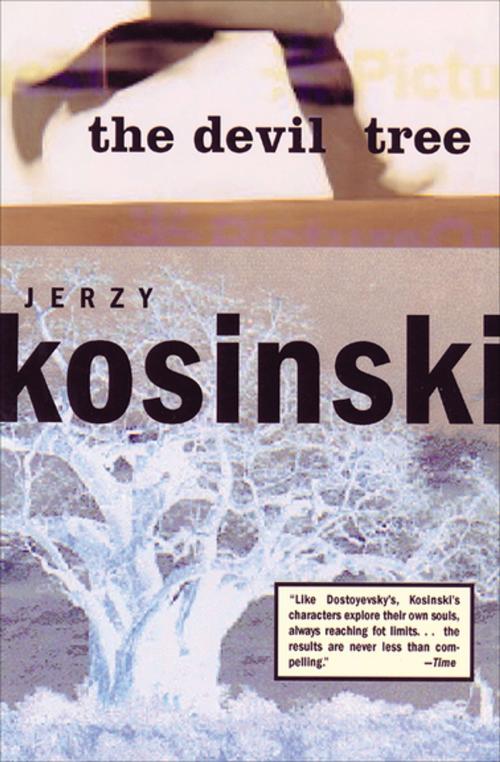 Cover of the book The Devil Tree by Jerzy Kosinski, Grove Atlantic