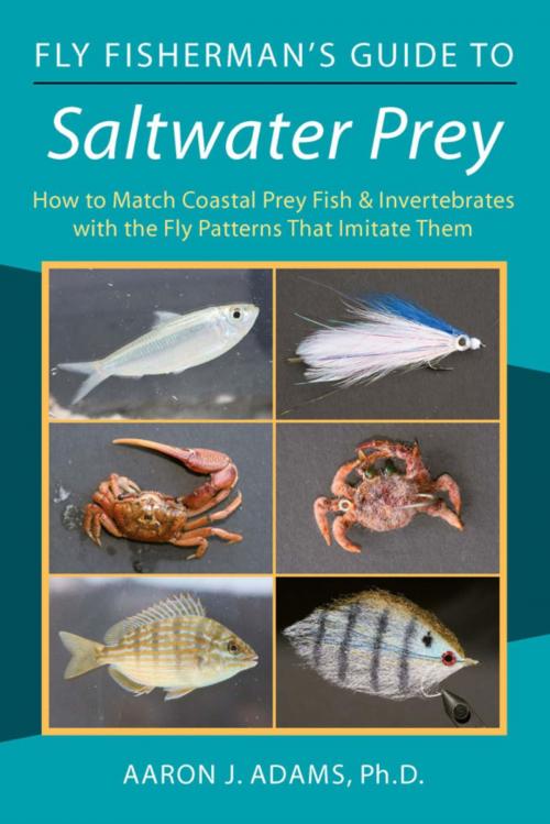 Cover of the book Fly Fisherman's Guide to Saltwater Prey by Ph. J. D Adams, Stackpole Books