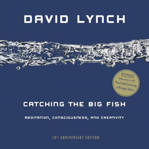 Cover of the book Catching the Big Fish by David Lynch, Penguin Publishing Group
