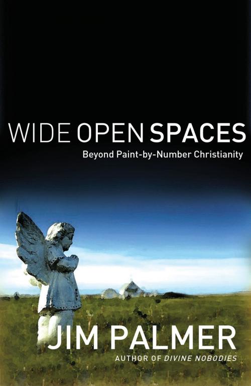 Cover of the book Wide Open Spaces by Jim Palmer, Thomas Nelson