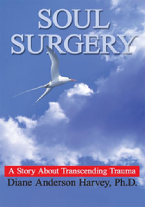 Cover of the book Soul Surgery by Diane Anderson Harvey, AuthorHouse