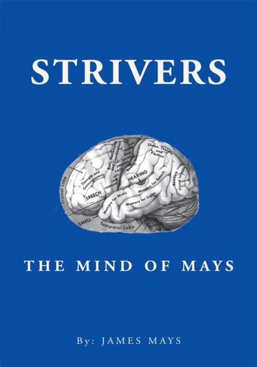 Cover of the book Strivers by James Mays, Xlibris US