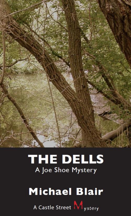Cover of the book The Dells by Michael Blair, Dundurn