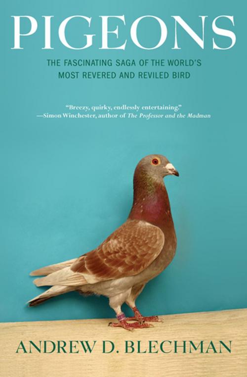 Cover of the book Pigeons by Andrew D. Blechman, Grove Atlantic