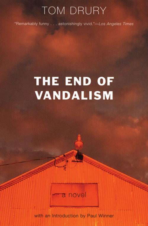 Cover of the book The End of Vandalism by Tom Drury, Grove Atlantic