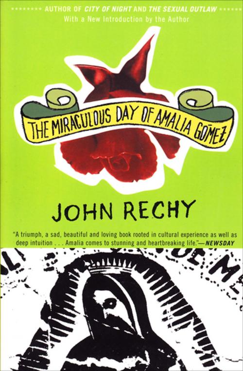 Cover of the book The Miraculous Day of Amalia Gómez by John Rechy, Grove Atlantic