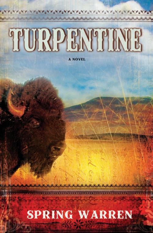 Cover of the book Turpentine by Spring Warren, Grove Atlantic