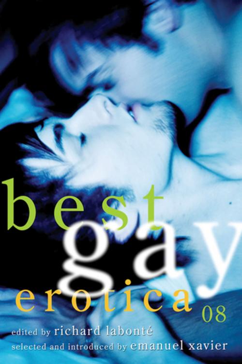 Cover of the book Best Gay Erotica 2008 by , Cleis Press