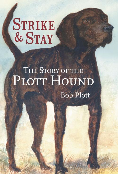 Cover of the book The Story of the Plott Hound: Strike & Stay by Bob Plott, Arcadia Publishing Inc.