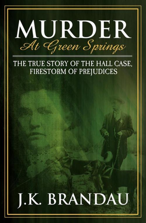 Cover of the book Murder at Green Springs by J. K. Brandau, Morgan James Publishing
