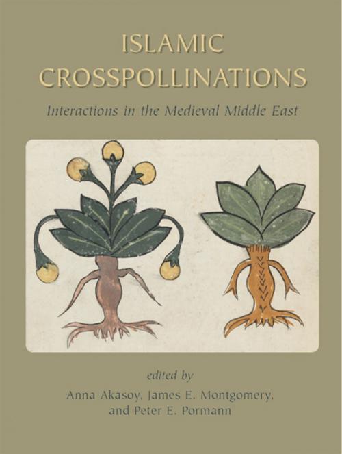 Cover of the book Islamic Crosspollinations by James Montgomery, Anna Akasoy, Peter E. Pormann, Gibb Memorial Trust