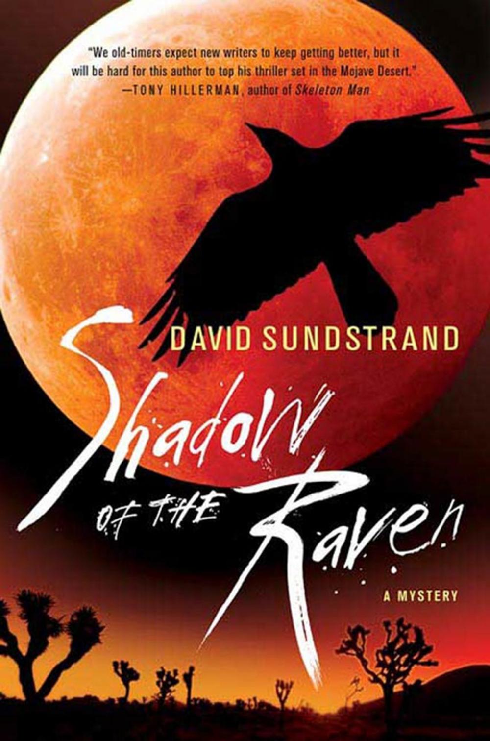 Big bigCover of Shadow of the Raven