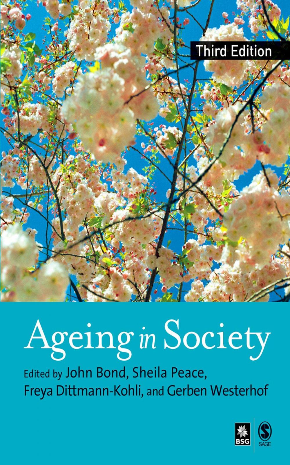 Big bigCover of Ageing in Society