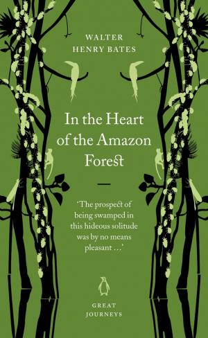 Cover of the book In the Heart of the Amazon Forest by Apuleius