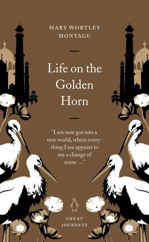 Cover of the book Life on the Golden Horn by Fiona McArthur